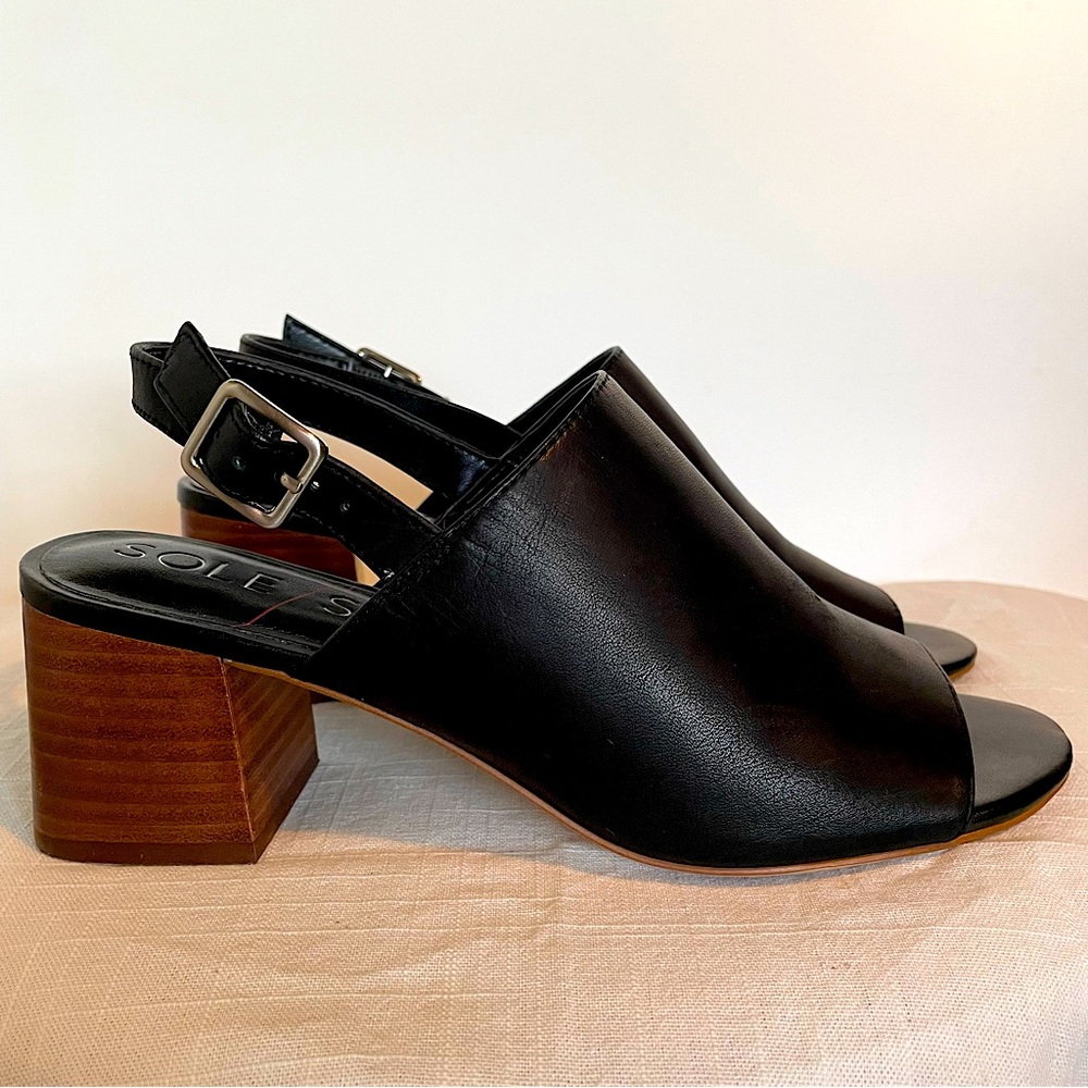 Sole Society Shawde Stacked Heel Sandal